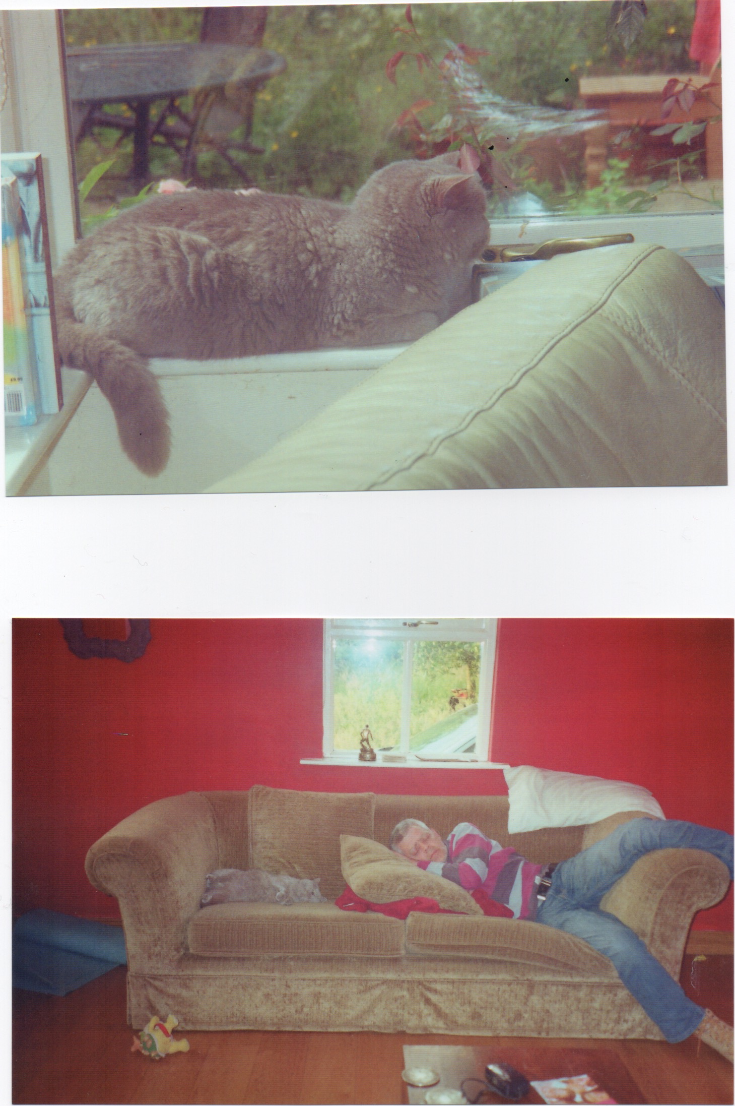 D2D06620-6016-42E0-ABCE-1B43D1D8E3D4